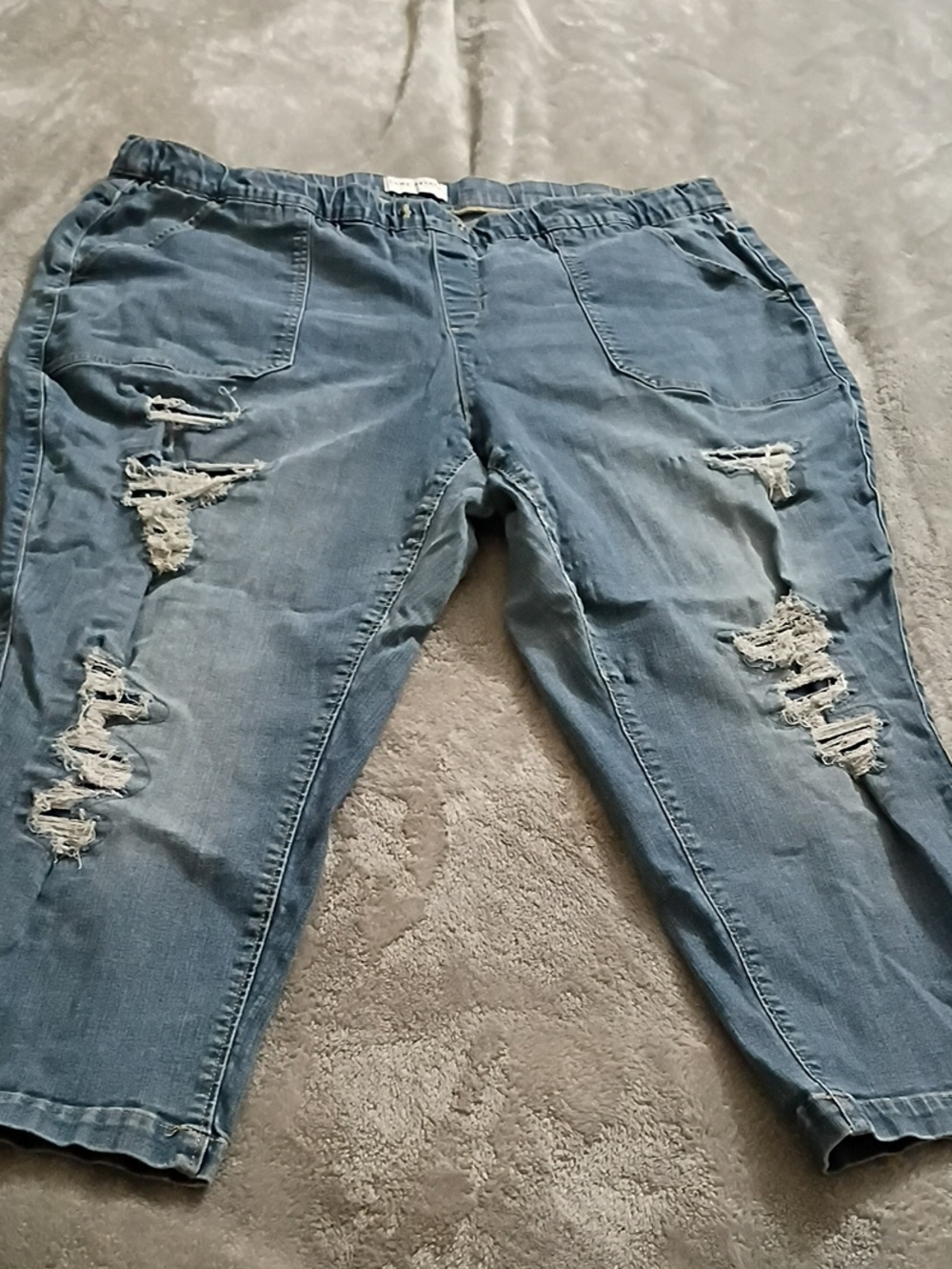Lane Bryant Light Blue Ripped Cropped Jeans